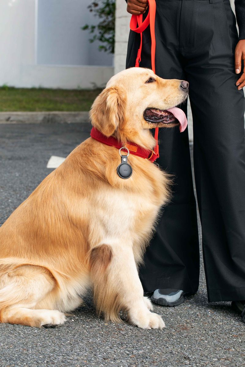 Mili MiTag Android Tag - Single Pack